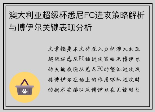 澳大利亚超级杯悉尼FC进攻策略解析与博伊尔关键表现分析 澳大利亚超级杯悉尼FC进攻策略解析与博伊尔关键表现分析